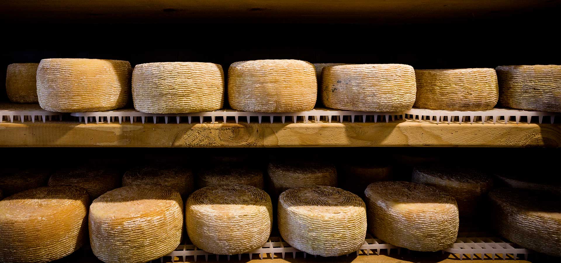 Stagionatura Pecorino Carmasciano